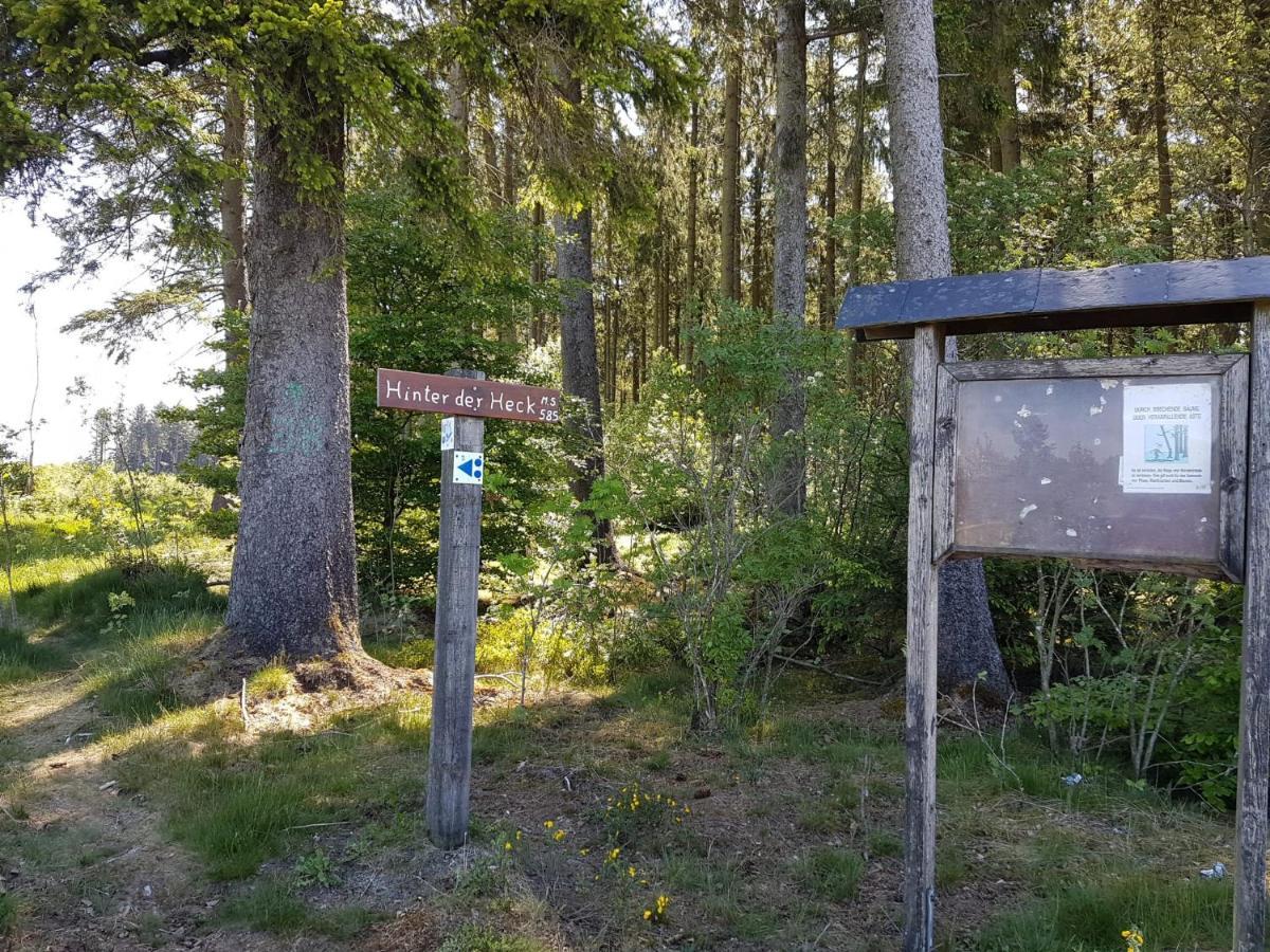 Haus Luna Butgenbach Bagian luar foto